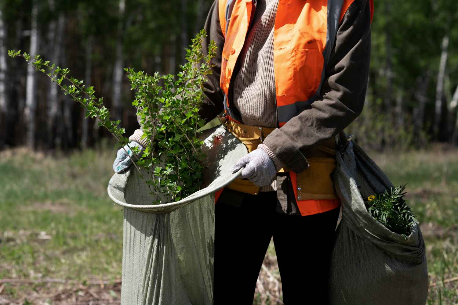 Best Emergency Storm Tree Removal  in Tequesta, FL